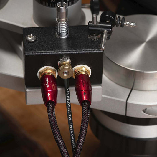 AudioQuest Black Hole GroundGoody RF-Dissipating Ground Wire (4.91 ft.) - groovevinylvault