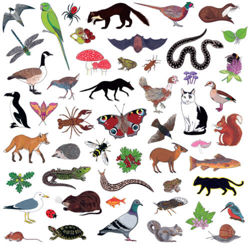 Modern Nature: Island Of Noise ( VINYL )