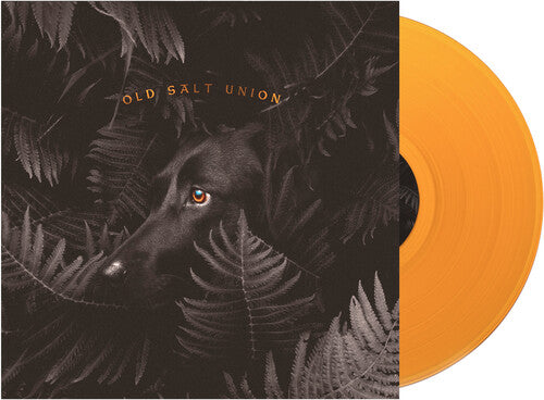 Old Salt Union: Where The Dogs Don't Bite ( VINYL )