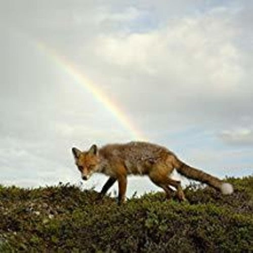 Buck Meek: Buck Meek - VINYL LP