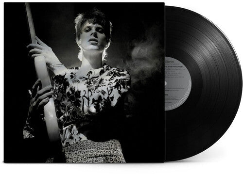 David Bowie: Rock 'n' Roll Star! ( VINYL )