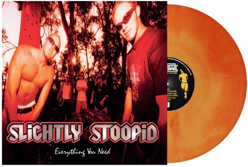 Slightly Stoopid: Everything You Need ( VINYL )